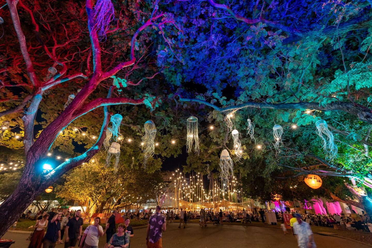 Darwin Festival