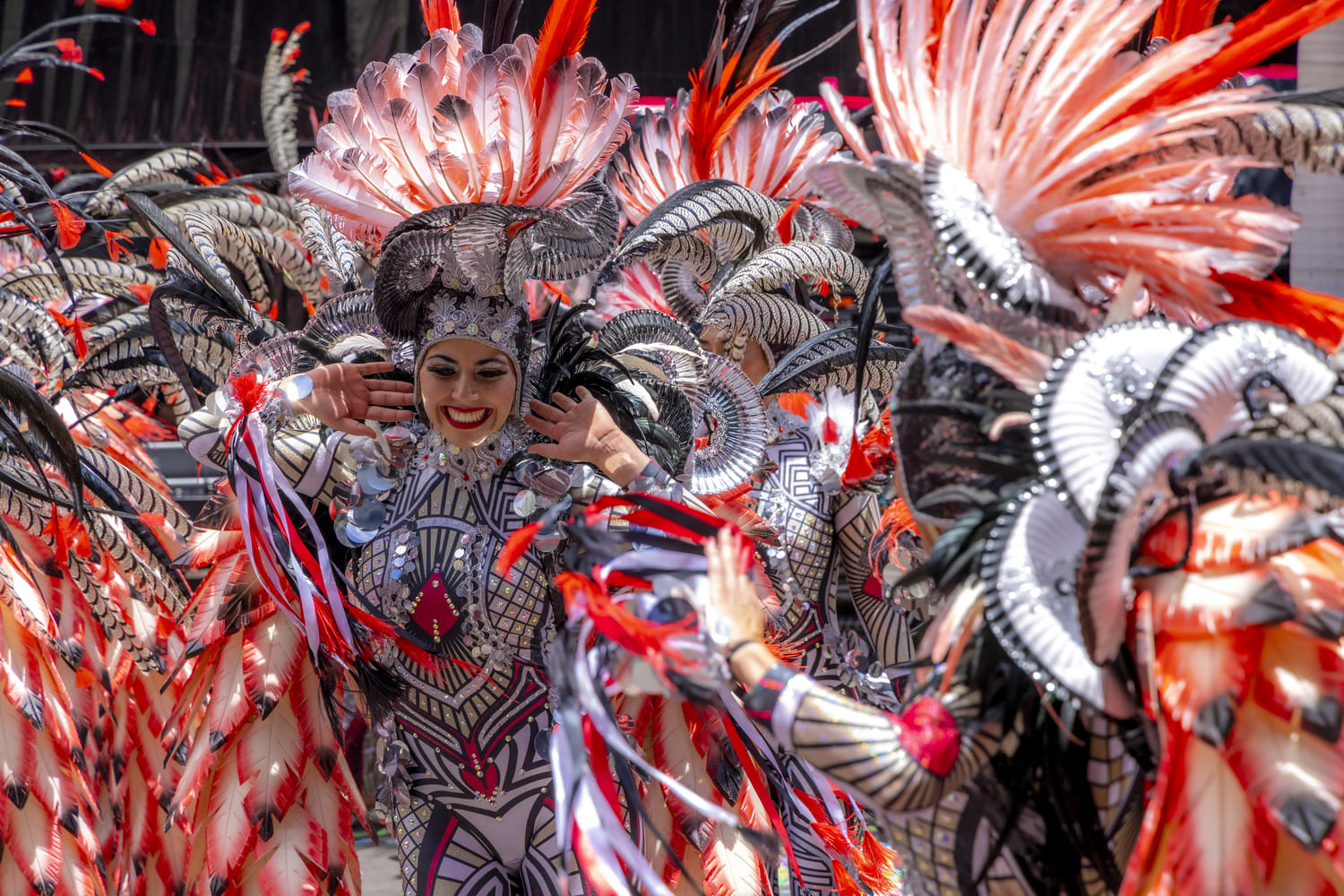 Carnaval Santa Cruz de Tenerife